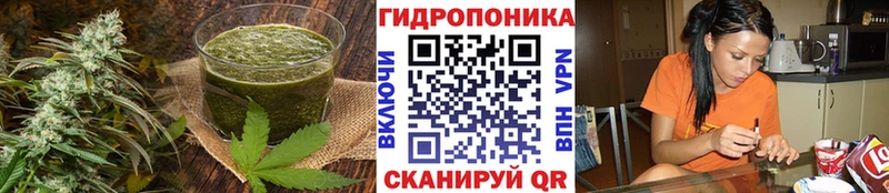 Cannafood конопля  Кореновск 