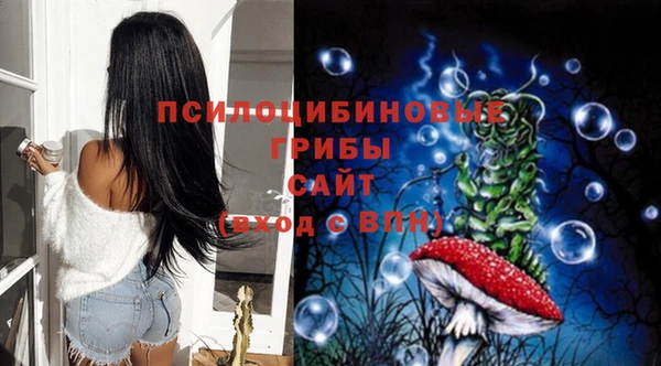 бутират Алзамай