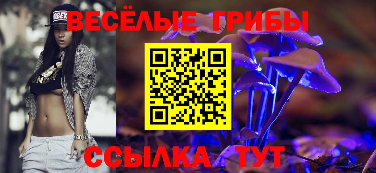 Кореновск  Галлюциногенные грибы Cubensis  Вход с VPN 